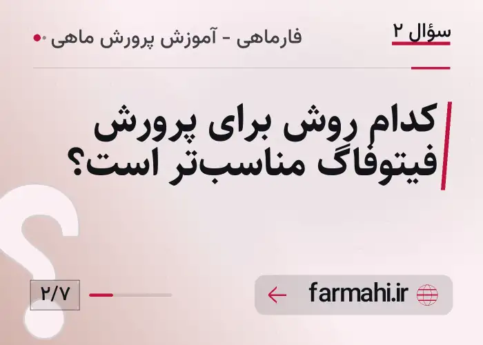 کدام روش برای پرورش فیتوفاگ مناسب‌تر است؟