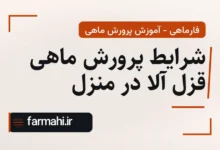 شرایط پرورش ماهی قزل آلا در منزل