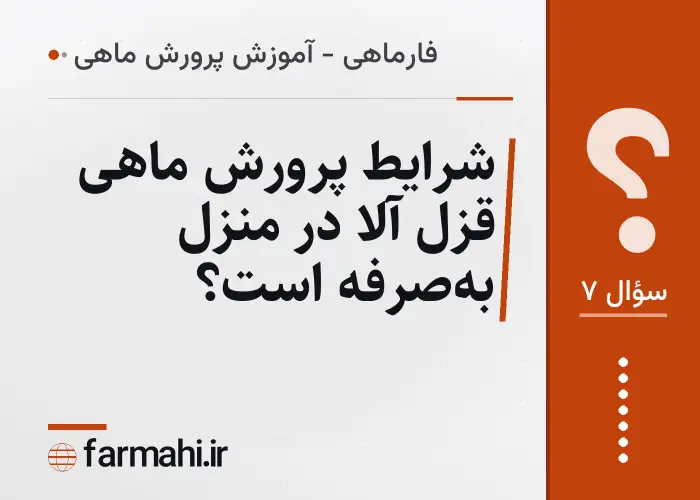 شرایط پرورش ماهی قزل آلا در منزل به‌صرفه است؟