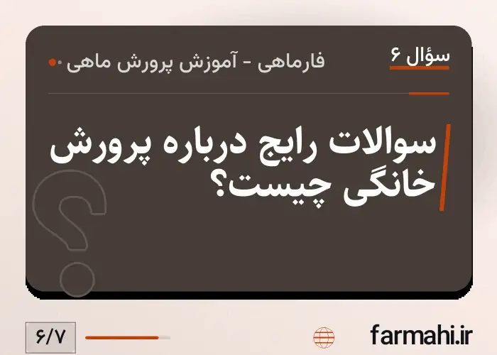 سوالات رایج درباره پرورش خانگی چیست؟
