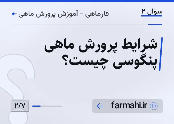 شرایط پرورش ماهی پنگوسی چیست؟