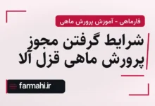 شرایط گرفتن مجوز پرورش ماهی قزل آلا