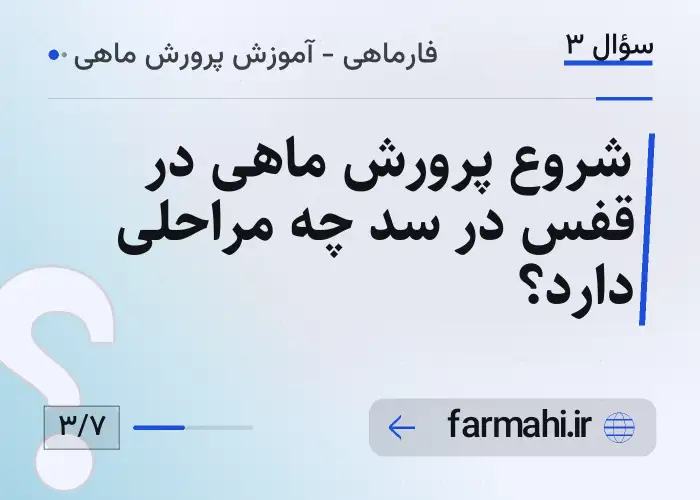 شروع پرورش ماهی در قفس در سد چه مراحلی دارد؟