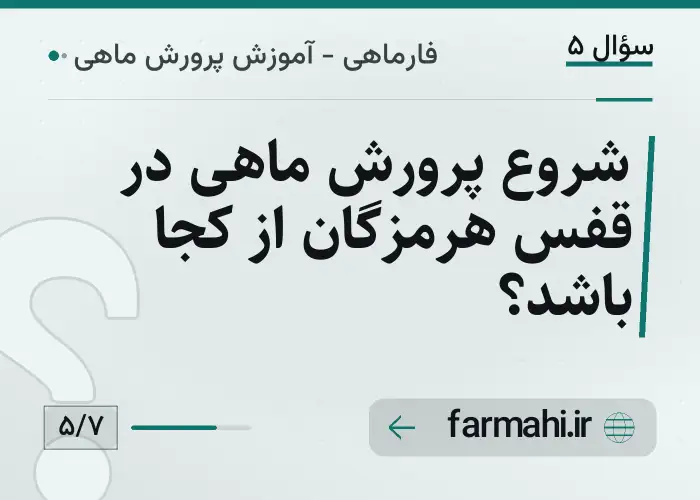 شروع پرورش ماهی در قفس هرمزگان از کجا باشد؟