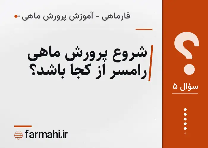 شروع پرورش ماهی رامسر از کجا باشد؟