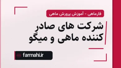 شرکت های صادر کننده ماهی و میگو
