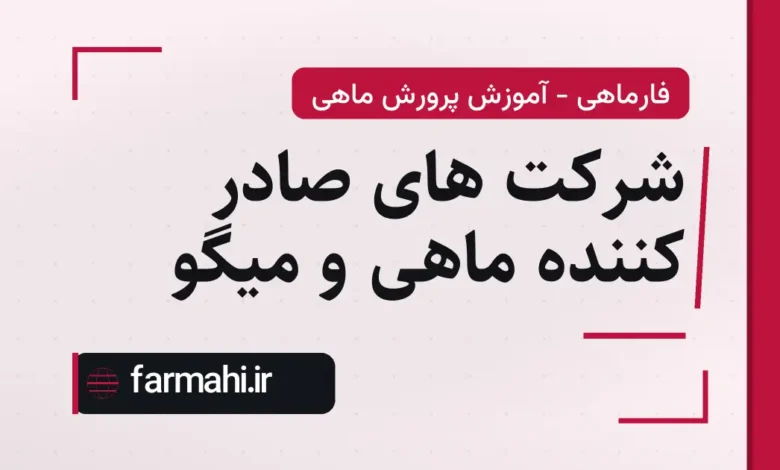 شرکت های صادر کننده ماهی و میگو