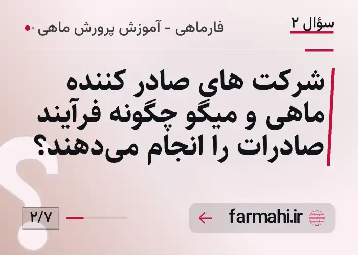 شرکت های صادر کننده ماهی و میگو چگونه فرآیند صادرات را انجام می‌دهند؟