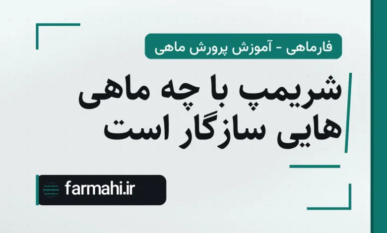 شریمپ با چه ماهی هایی سازگار است