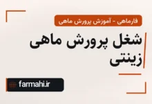 شغل پرورش ماهی زینتی