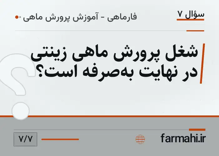 شغل پرورش ماهی زینتی در نهایت به‌صرفه است؟