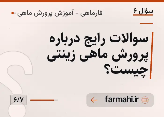 سوالات رایج درباره پرورش ماهی زینتی چیست؟