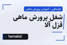 شغل پرورش ماهی قزل آلا