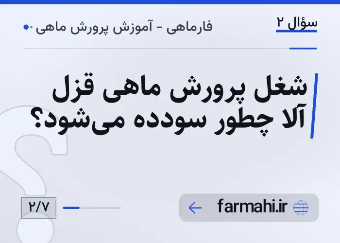 شغل پرورش ماهی قزل آلا چطور سودده می‌شود؟
