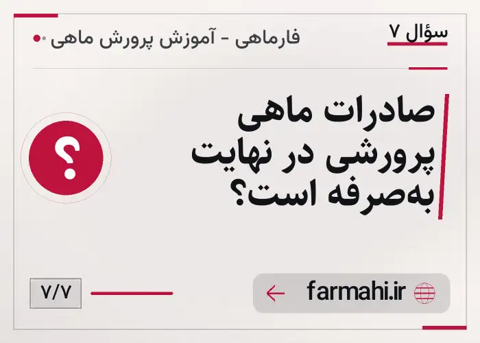 صادرات ماهی پرورشی در نهایت به‌صرفه است؟