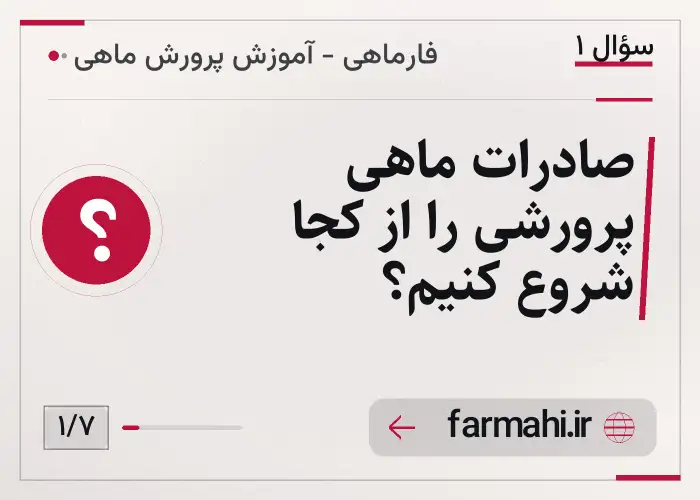 صادرات ماهی پرورشی را از کجا شروع کنیم؟