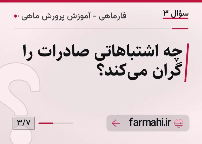 چه اشتباهاتی صادرات را گران می‌کند؟
