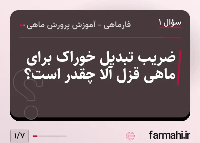 ضریب تبدیل خوراک برای ماهی قزل آلا چقدر است؟