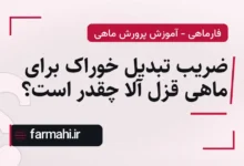 ضریب تبدیل خوراک برای ماهی قزل آلا چقدر است؟