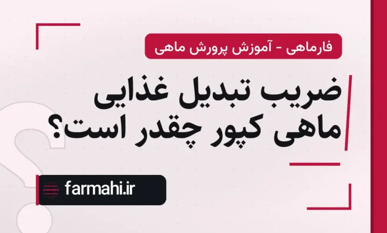 ضریب تبدیل غذایی ماهی کپور چقدر است؟