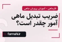 ضریب تبدیل ماهی آمور چقدر است؟