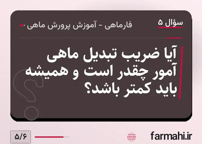 آیا ضریب تبدیل ماهی آمور چقدر است و همیشه باید کمتر باشد؟