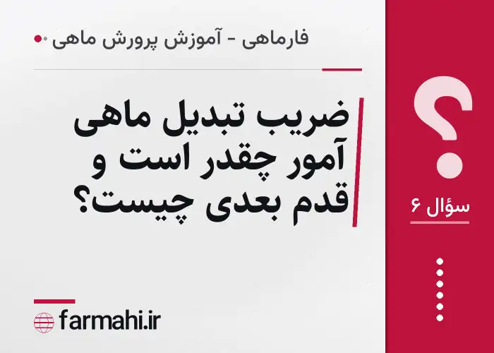 ضریب تبدیل ماهی آمور چقدر است و قدم بعدی چیست؟