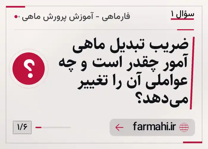 ضریب تبدیل ماهی آمور چقدر است و چه عواملی آن را تغییر میدهد؟