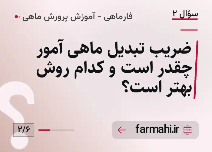 ضریب تبدیل ماهی آمور چقدر است و کدام روش بهتر است؟