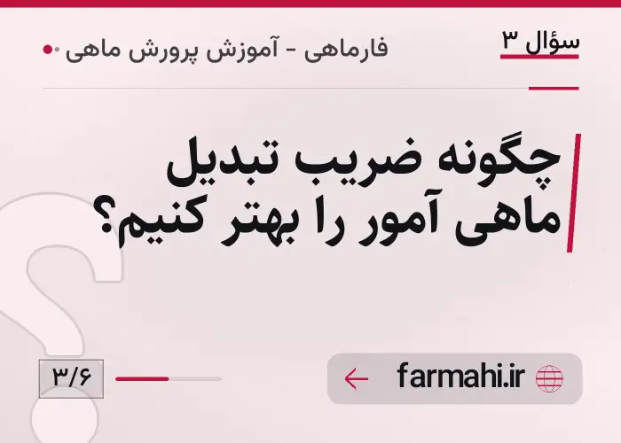 چگونه ضریب تبدیل ماهی آمور را بهتر کنیم؟