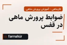 ضوابط پرورش ماهی در قفس