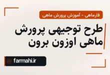 طرح توجیهی پرورش ماهی اوزون برون