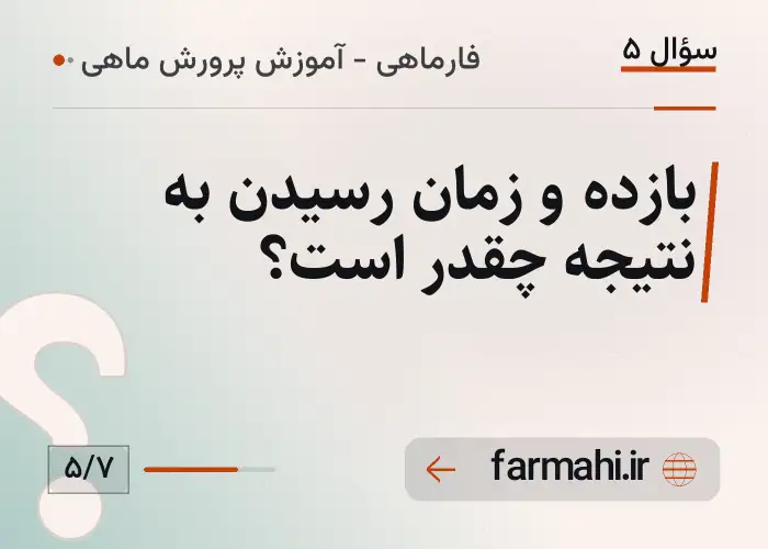 بازده و زمان رسیدن به نتیجه چقدر است؟