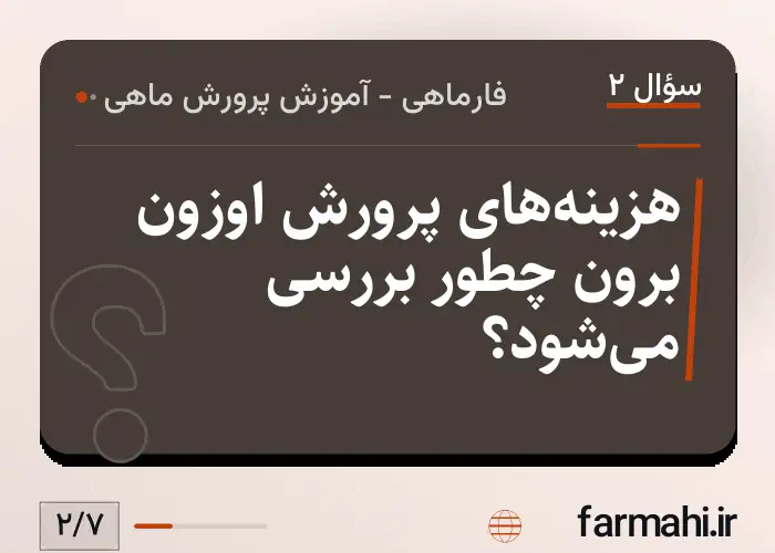 هزینه‌های پرورش اوزون برون چطور بررسی می‌شود؟