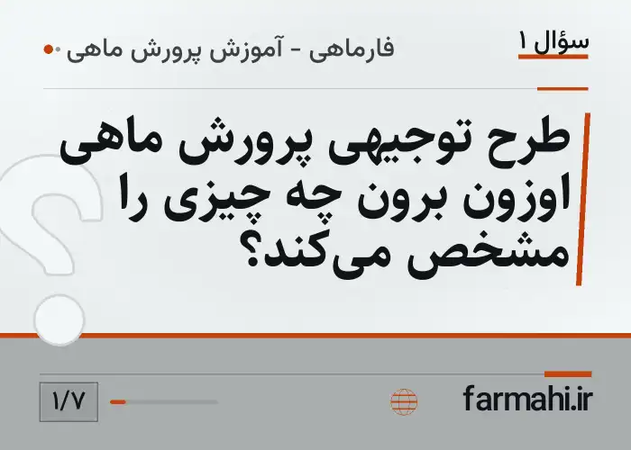 طرح توجیهی پرورش ماهی اوزون برون چه چیزی را مشخص می‌کند؟