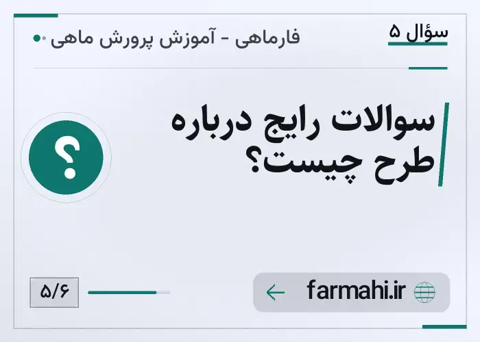 سوالات رایج درباره طرح چیست؟
