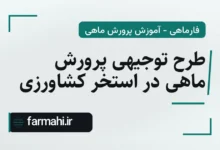 طرح توجیهی پرورش ماهی در استخر کشاورزی