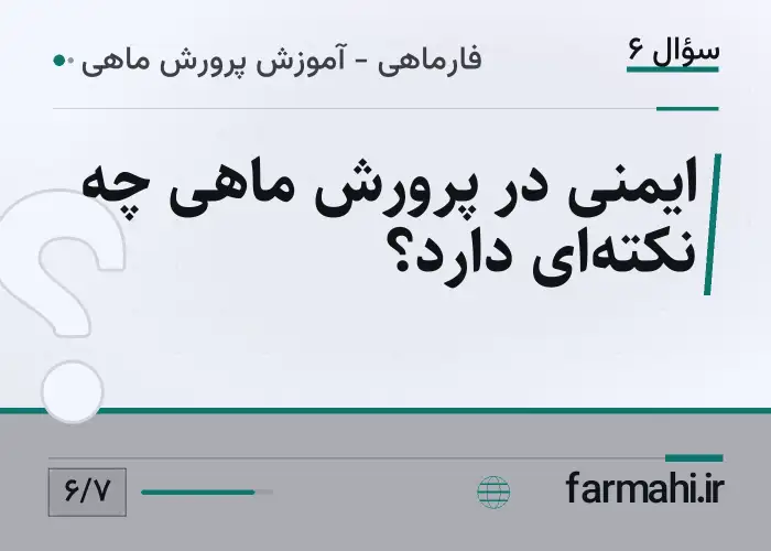 ایمنی در پرورش ماهی چه نکته‌ای دارد؟