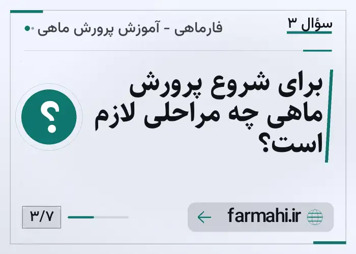 برای شروع پرورش ماهی چه مراحلی لازم است؟