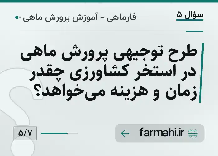 طرح توجیهی پرورش ماهی در استخر کشاورزی چقدر زمان و هزینه می‌خواهد؟