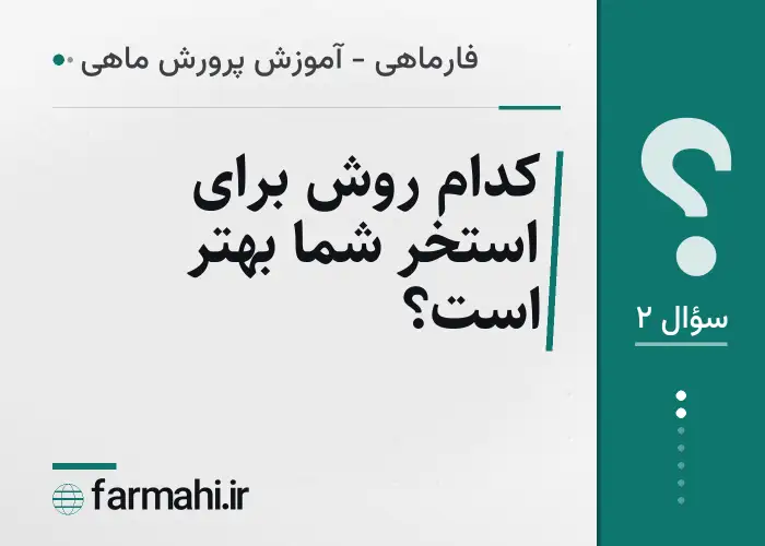 کدام روش برای استخر شما بهتر است؟