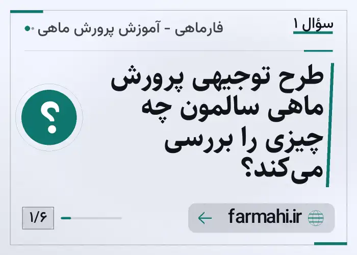 طرح توجیهی پرورش ماهی سالمون چه چیزی را بررسی می‌کند؟