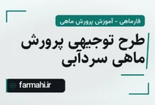 طرح توجیهی پرورش ماهی سردآبی