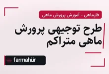 طرح توجیهی پرورش ماهی متراکم
