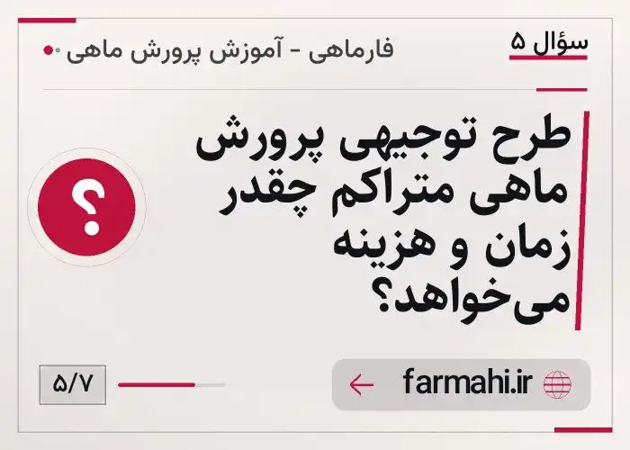 طرح توجیهی پرورش ماهی متراکم چقدر زمان و هزینه می‌خواهد؟