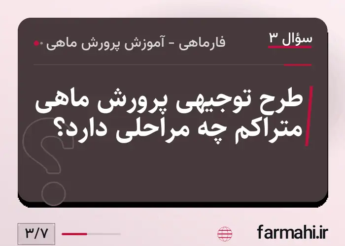 طرح توجیهی پرورش ماهی متراکم چه مراحلی دارد؟