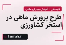 طرح پرورش ماهی در استخر کشاورزی