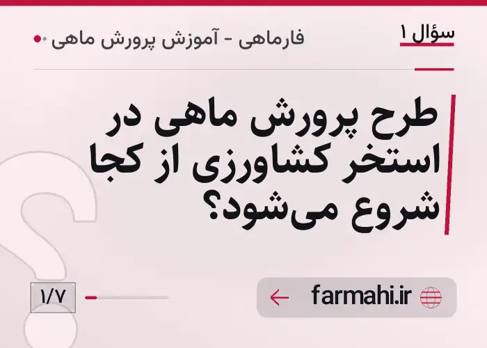 طرح پرورش ماهی در استخر کشاورزی از کجا شروع می‌شود؟