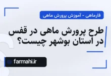 طرح پرورش ماهی در قفس در استان بوشهر چیست؟