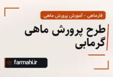 طرح پرورش ماهی گرمابی